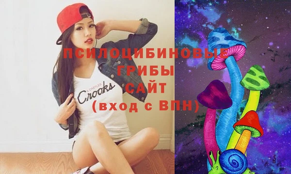 прущие крисы Арсеньев
