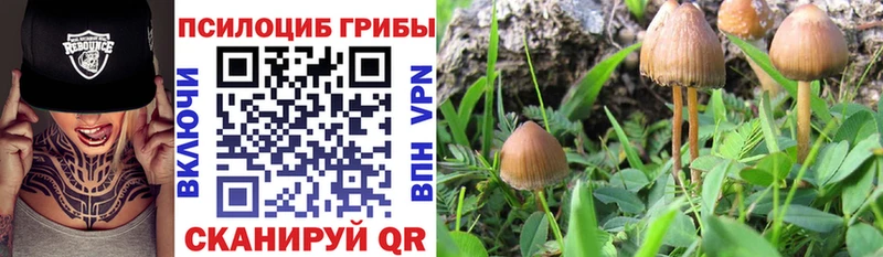 Галлюциногенные грибы Magic Shrooms Малоархангельск